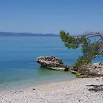 Sonja Podgora